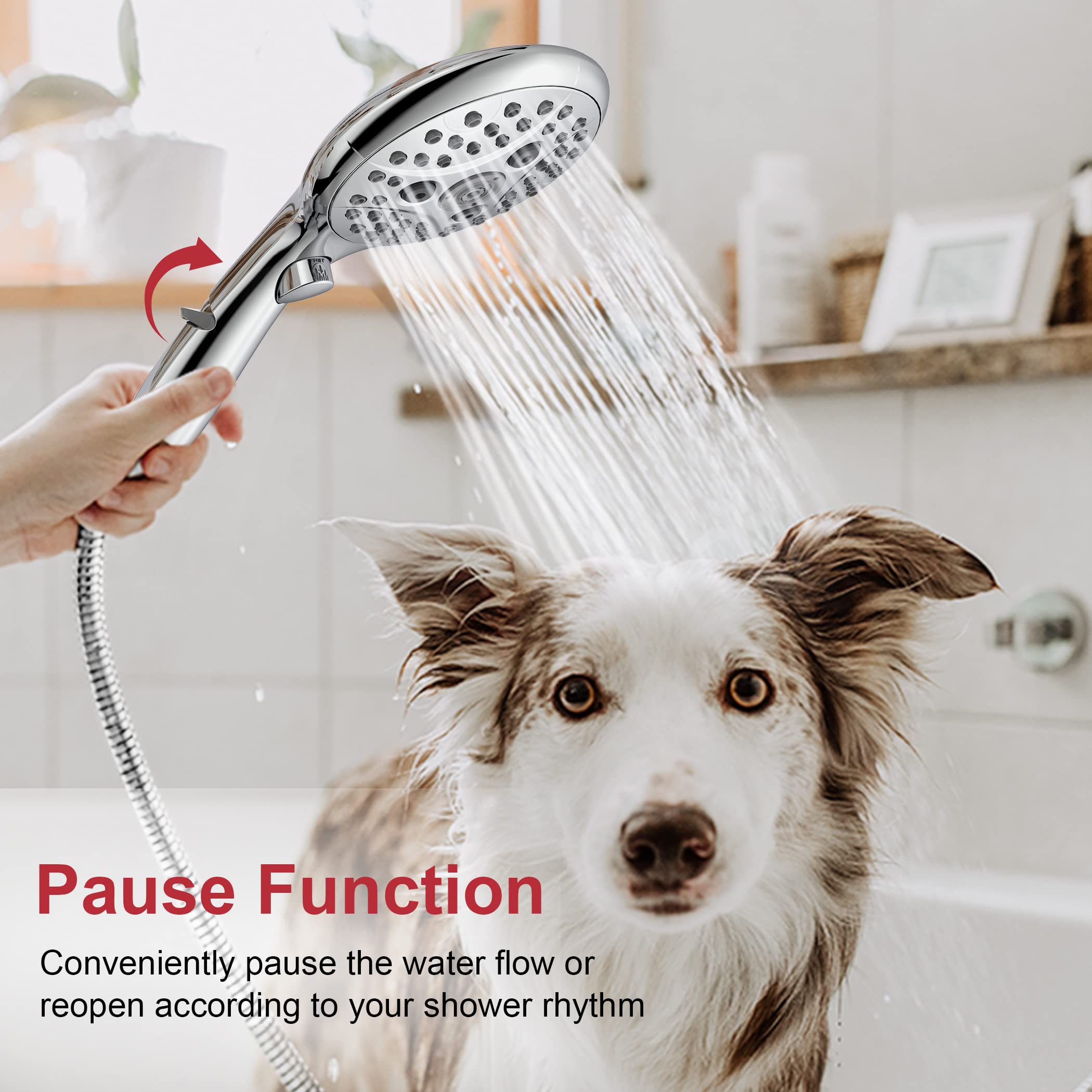 6-Function Handheld Shower