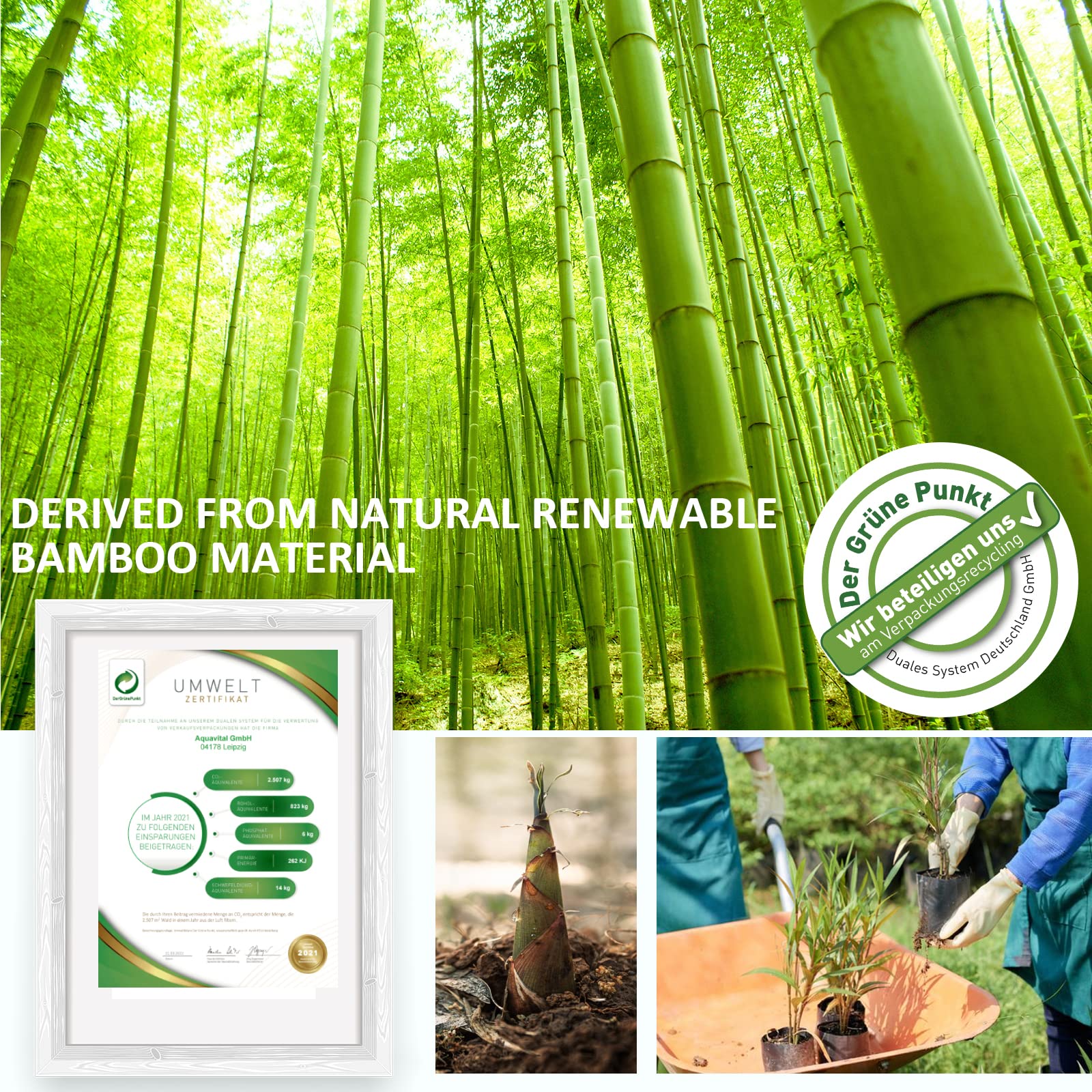 4/6/9/12/18 Pack Storage Box