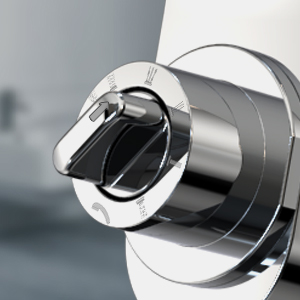 2-in-1 Rainfall Shower System with Handheld (9 Spray Modes)​​