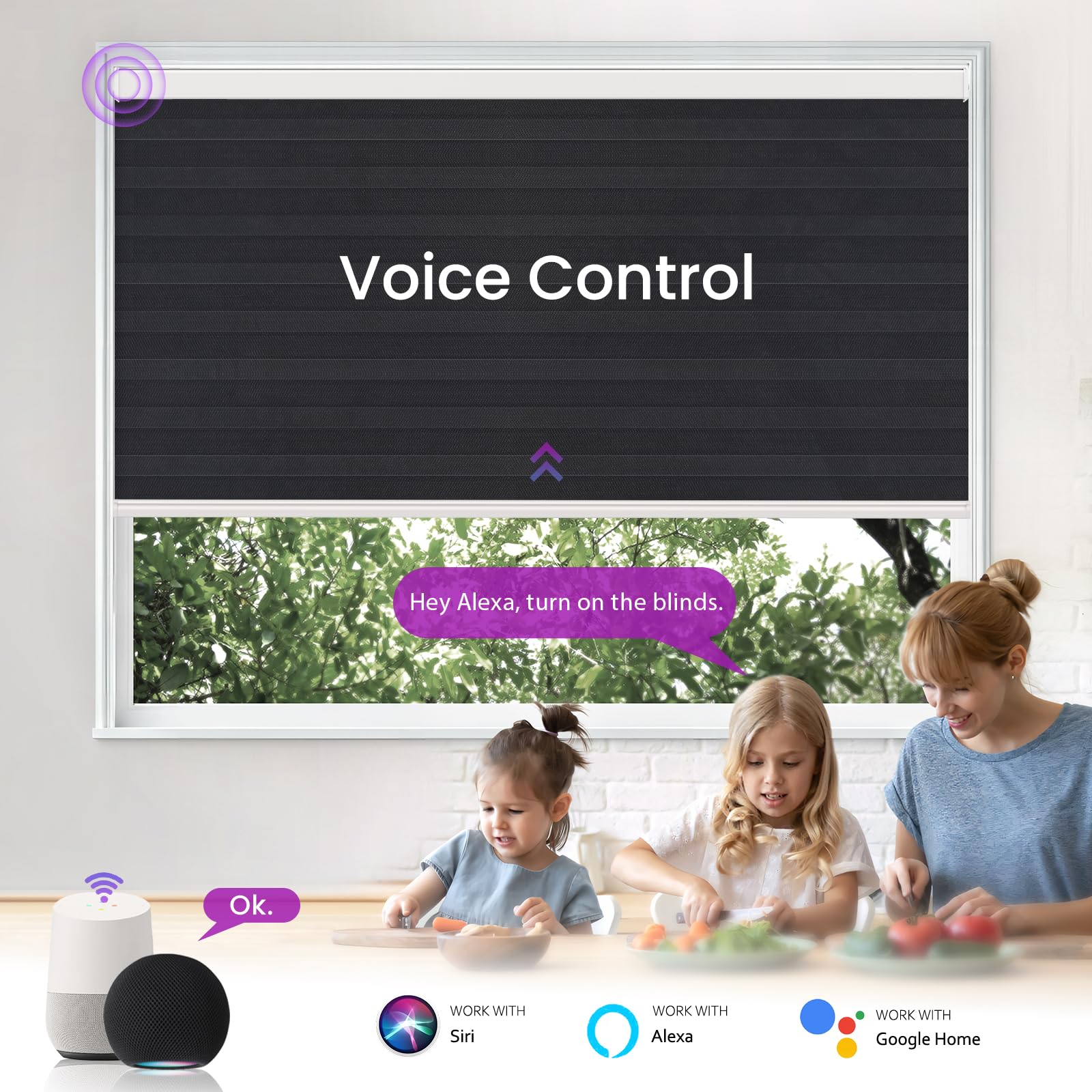 Smart Motorized Zebra Shades - Works with Alexa/Google