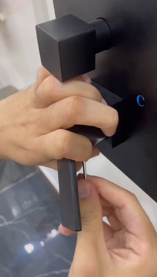 Shower System Shower Cartridge