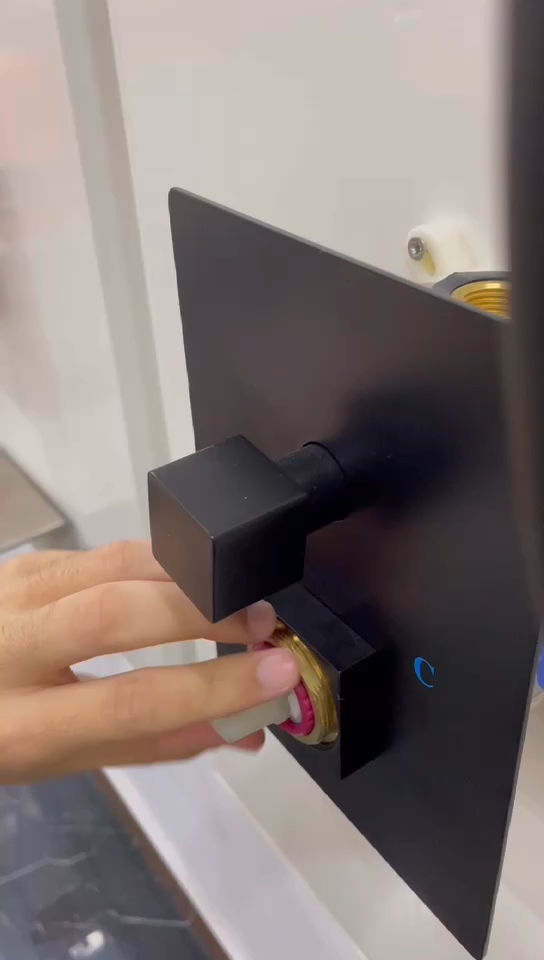 Shower System Shower Cartridge